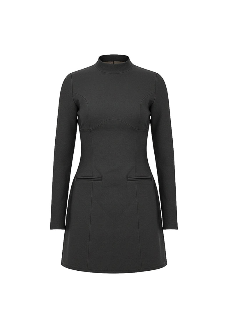 Black Fitted Long Sleeve A-Line Style Mini Dress