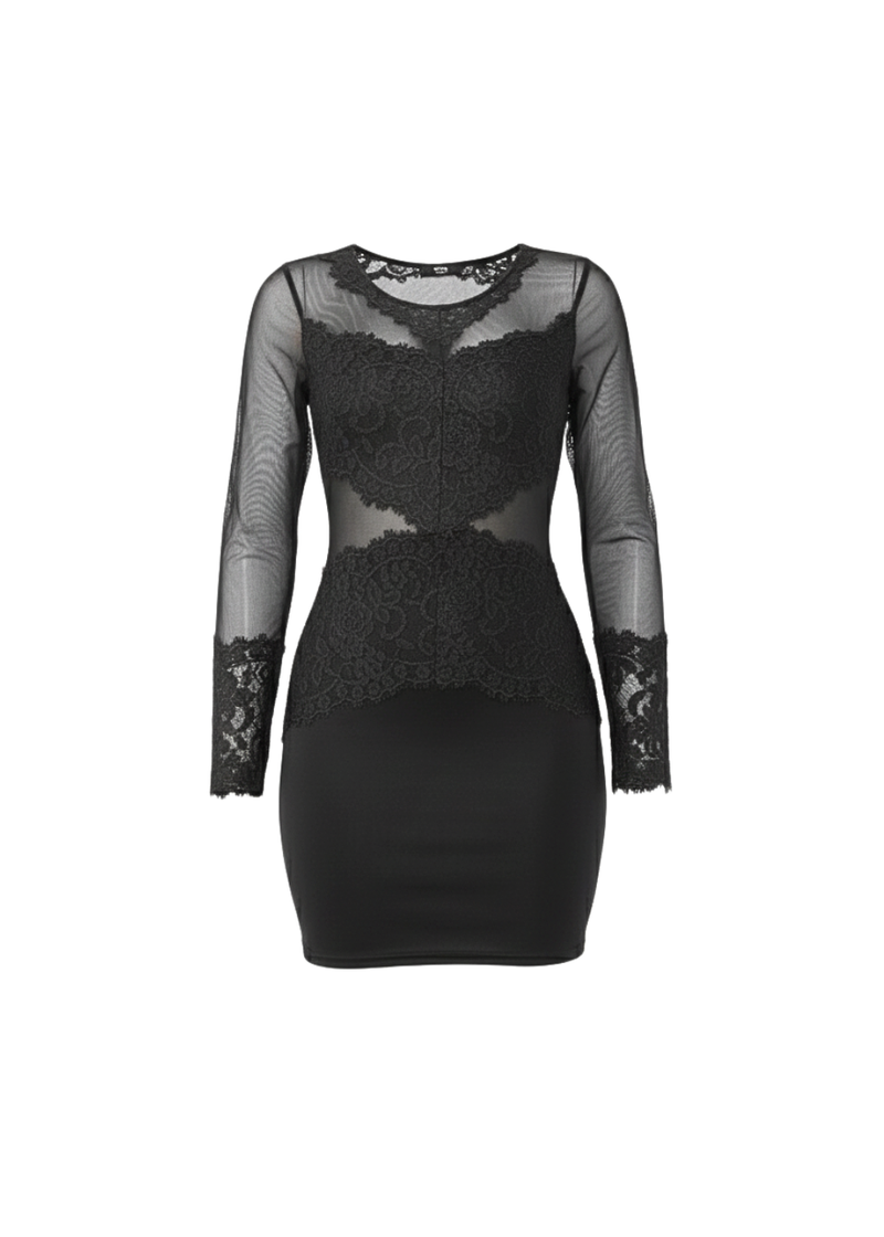 Black Sheer Mesh Lace Detail Bodycon Mini Dress