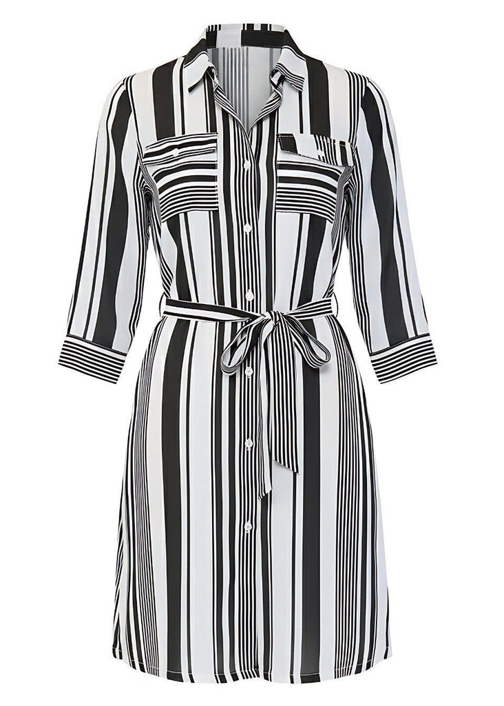 Monochrome Striped Georgette Button-Down Shirt Dress