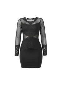 Black Sheer Mesh Lace Detail Bodycon Mini Dress
