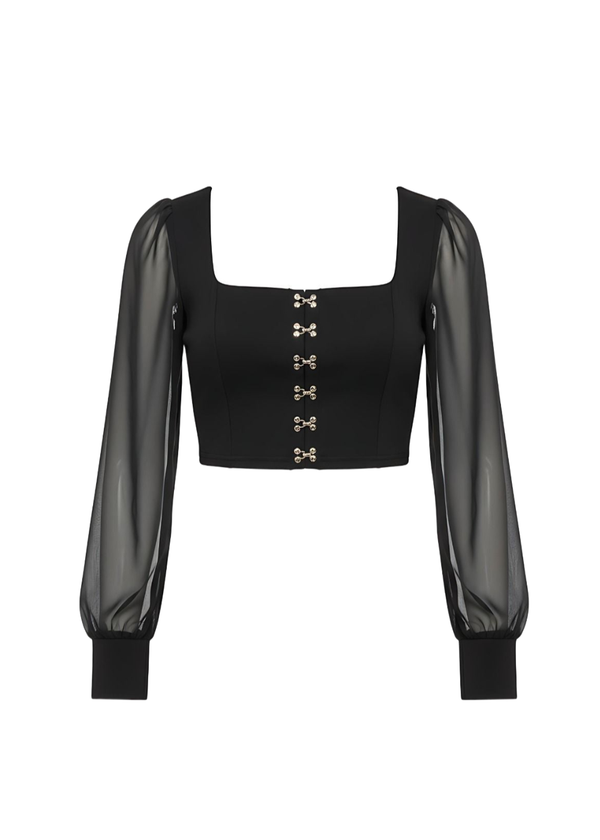 Black Sheer Mesh Long Sleeve Hook and Eye Crop Top