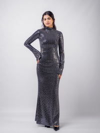 Silver Stripped Nylon Metallic Sequin Long Sleeve Bodycon Maxi Dress