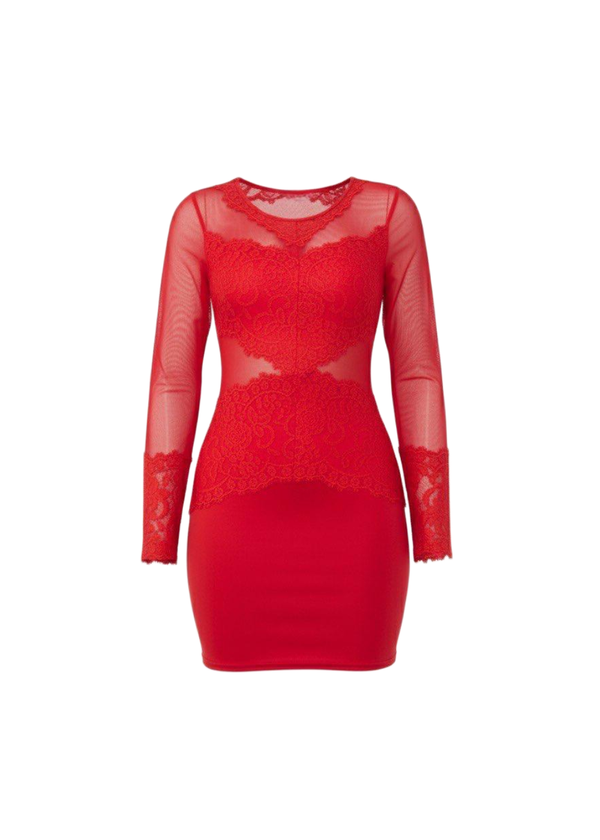 Avinci | Red Sheer Mesh Lace Detail Bodycon Mini Dress Avinci | Red Sheer Mesh Lace Detail Bodycon Mini Dress