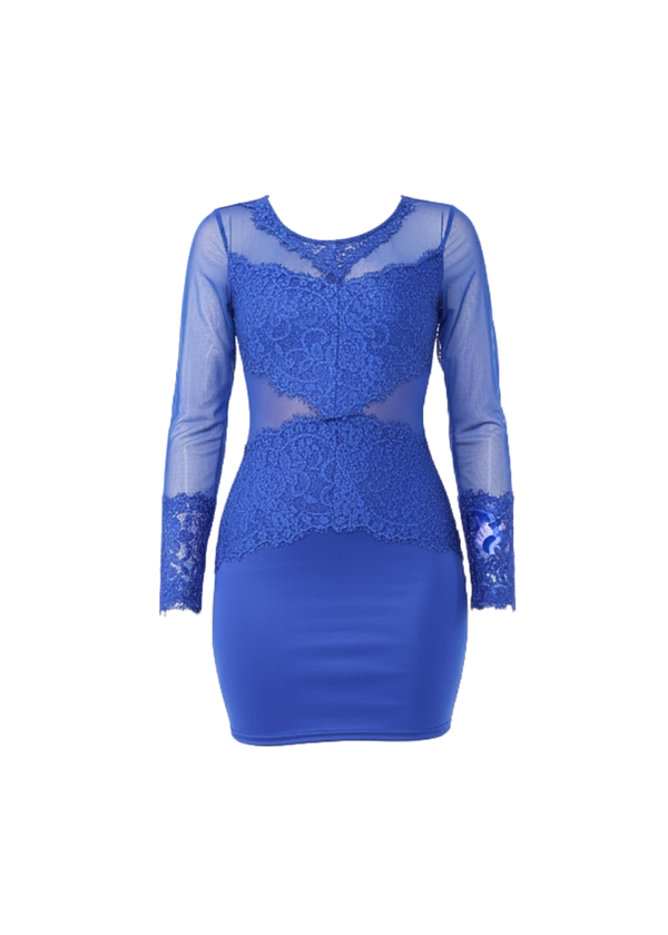 Royal Blue Sheer Mesh Lace Detail Bodycon Mini Dress Royal Blue Sheer Mesh Lace Detail Bodycon Mini Dress