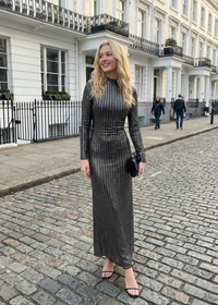 Silver Stripped Nylon Metallic Sequin Long Sleeve Bodycon Maxi Dress