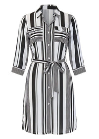Monochrome Striped Georgette Button-Down Shirt Dress