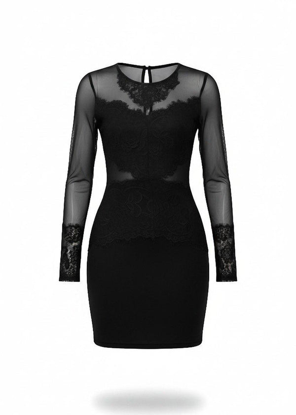 Black Sheer Mesh Lace Detail Bodycon Mini Dress
