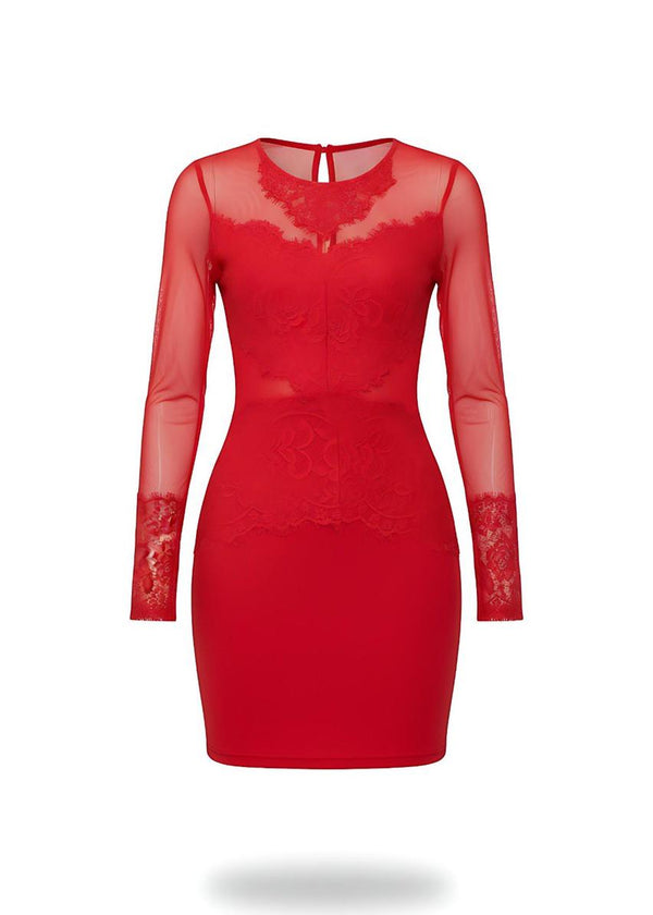 Red Sheer Mesh Lace Detail Bodycon Mini Dress
