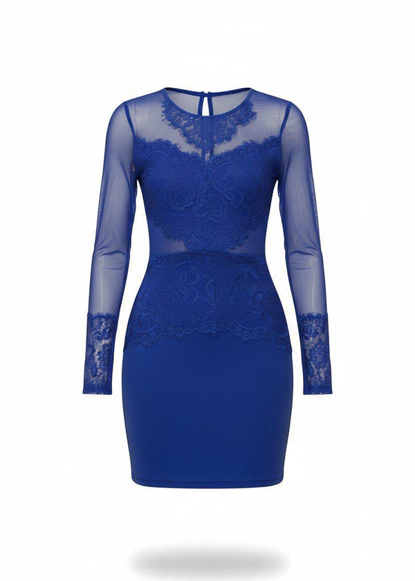 Blue Sheer Mesh Lace Detail Bodycon Mini Dress