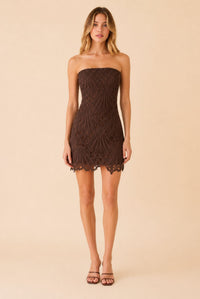 Women's Chocolate Strapless Lace Bodycon Mini Dress