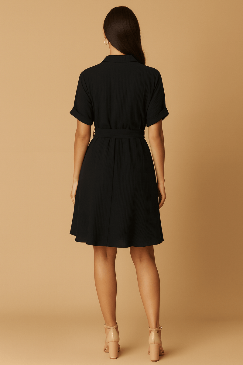 Stylish Circle Buckle Waist Belt Collared A-Line Dress