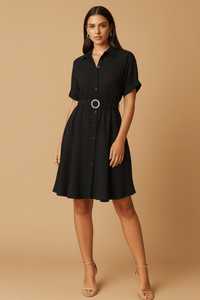Stylish Circle Buckle Waist Belt Collared A-Line Dress
