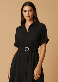 Stylish Circle Buckle Waist Belt Collared A-Line Dress