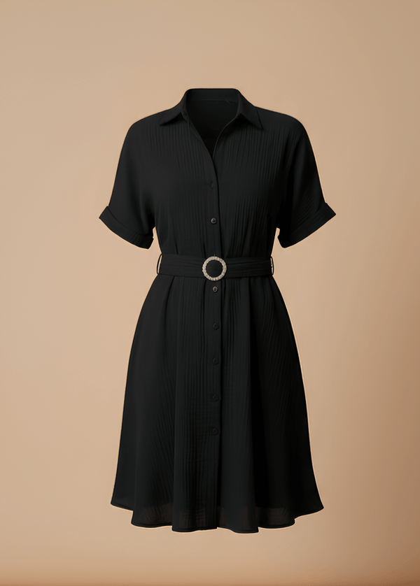 Stylish Circle Buckle Waist Belt Collared A-Line Dress