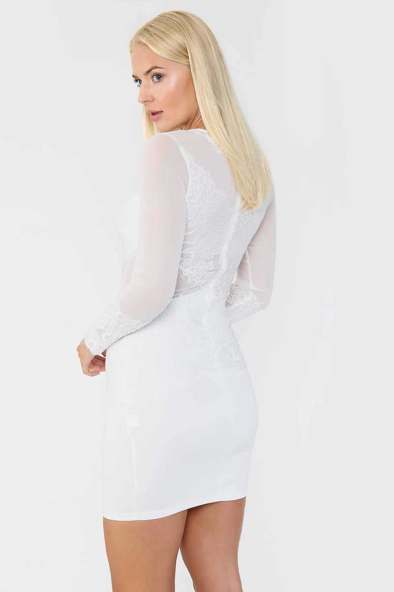 Lace Detail Mesh Bodycon Mini Dress