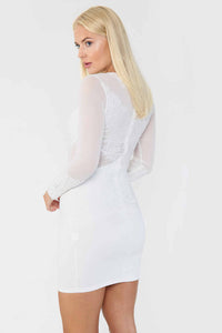 Lace Detail Mesh Bodycon Mini Dress - Bodycon Dress - Avinci
