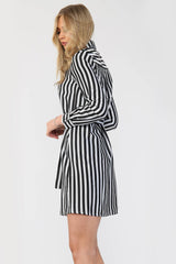 Striped Satin Shirt Dress - Day Dress - Avinci